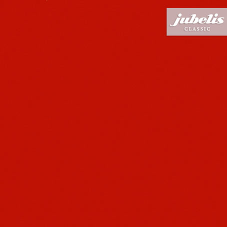 Wachstuch einfarbig Uni rot IV 240 cm x 140 cm für Biertische (auf Wunsch geteilt = 2 Decken)